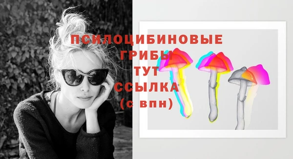 стафф Вяземский