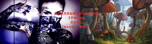 стафф Вяземский