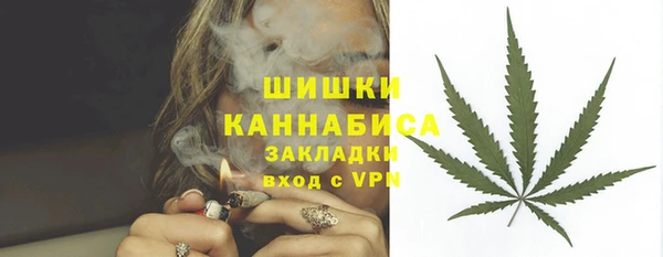гидра Вязники