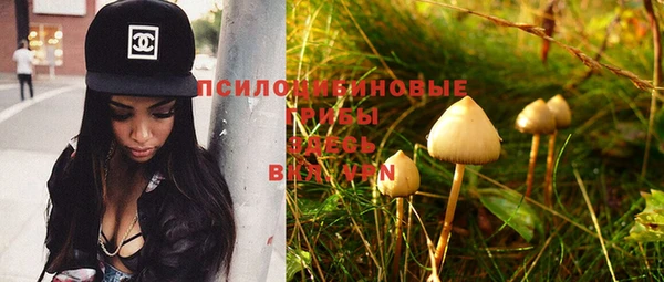 гидра Вязники