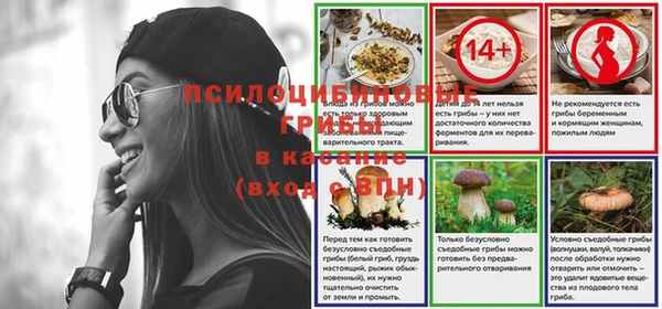 амф Вязьма