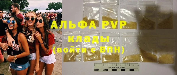 стафф Вяземский