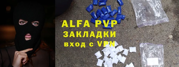 стафф Вяземский