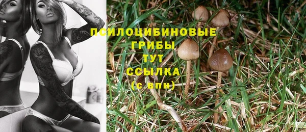 амф Вязьма